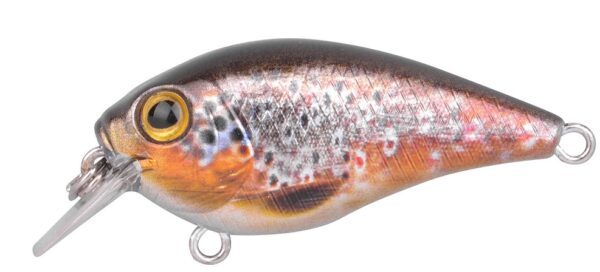 Spro wobler ikiru naturals crank floating brown trout 4