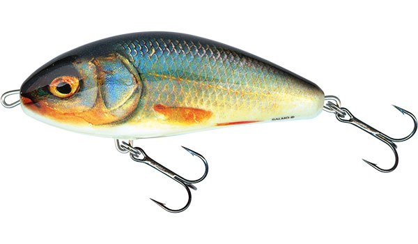 Salmo wobler fatso sinking real roach 10 cm 52 g