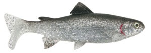 Uni cat gumová nástraha trout bg 15 cm 50 g 2 ks