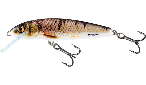Salmo wobler minnow sinking wounded dace-7 cm 8 g