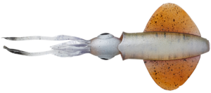 Savage gear swim squid lrf horny squid 5 ks 5 cm 0