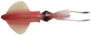 Savage gear 3d swim squid sinking pink glow - 2 ks 18 cm 32 g